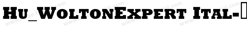 Hu_WoltonExpert Ital字体转换
